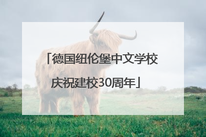 德国纽伦堡中文学校庆祝建校30周年